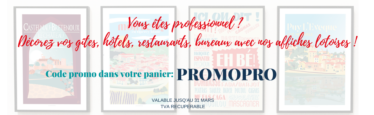 Vous êtes professionnel _ Décorez vos gîtes, hôtels, restaurants, bureaux avec nos affiches lotoises !